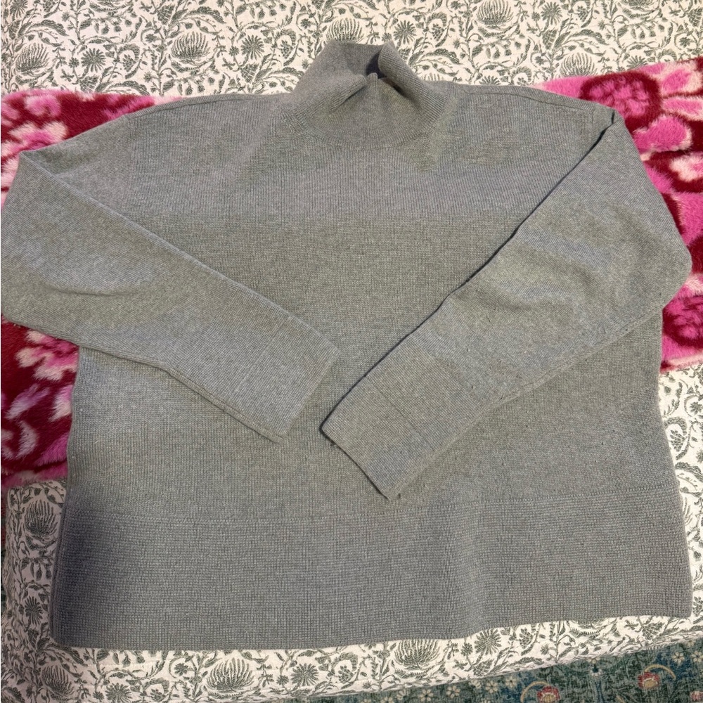 Everlane Cashmere Turtleneck Sweater
